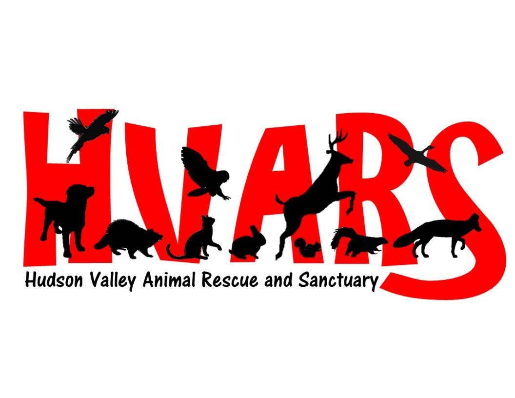 Hudson Valley Animal Rescue and Sanctuary, Poughkeepsie, New York